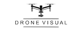 Drone visual Logo